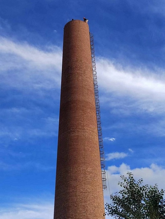 1692319304654556.jpg 000b89636a7631ff81d5390248eae91.jpg