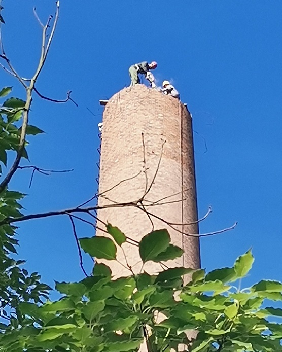 1692319863828969.jpg 91f41c50e57f7d393e3724582e31c75.jpg