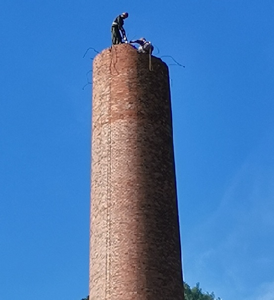 1692319880382168.jpg 776066e5cfea40fb0c66b7a7042be2e.jpg